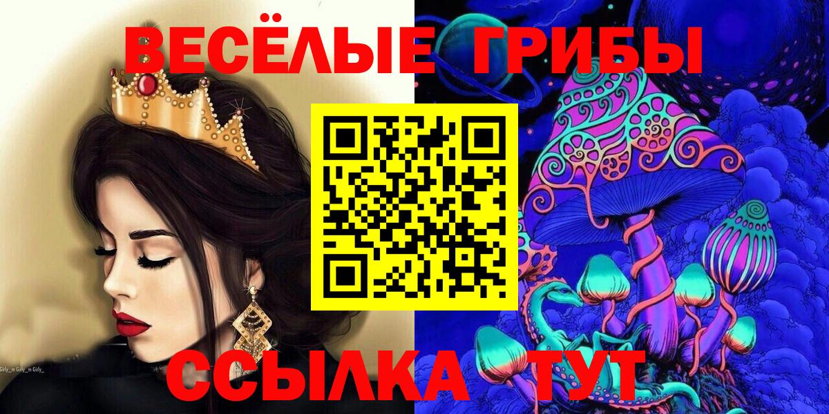 Псилоцибиновые грибы Cubensis  Вход с VPN  Ступино 